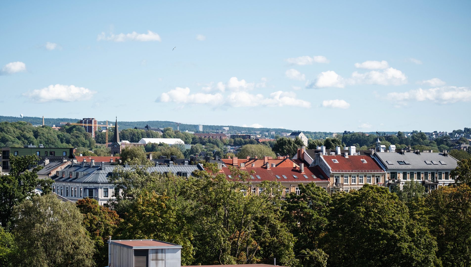 Utsikt over Oslo